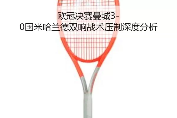 ou-guan-jue-sai-man-cheng-guo-mi-ha-lan-de-shuang-xiang-zhan-shu-ya-zhi-shen-du-fen-xi-2-518.jpg