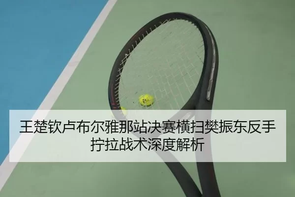 王楚钦卢布尔雅那站决赛横扫樊振东反手拧拉战术深度解析